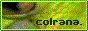 col_button